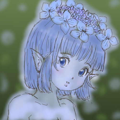 森の額紫陽花
