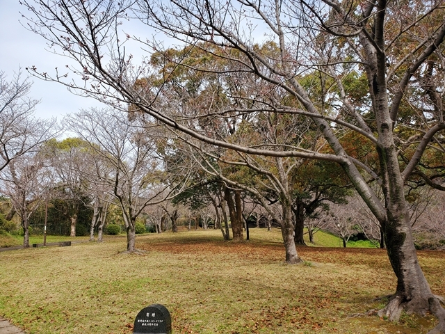 多賀山公園5
