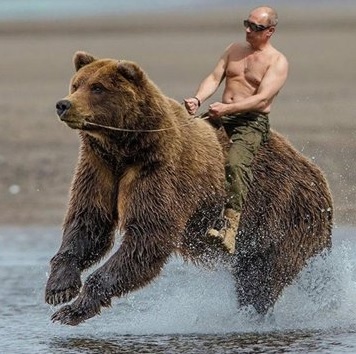 プーチンと熊