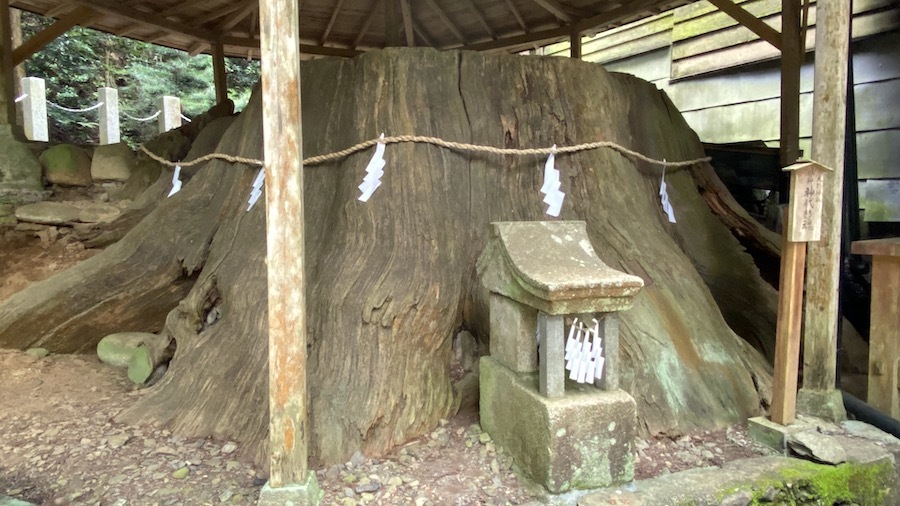 賀蘇山神社5