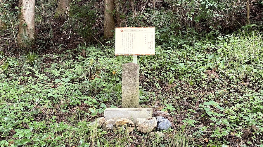 賀蘇山神社10