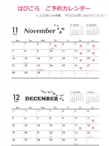 北海道　旭川　整理収納アドバイザー佐々木亜弥　はぴごら　片づけ　１１月12月　ご予約カレンダー