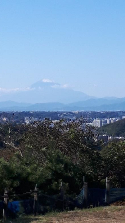 磯子区（円海山）から望む富士山