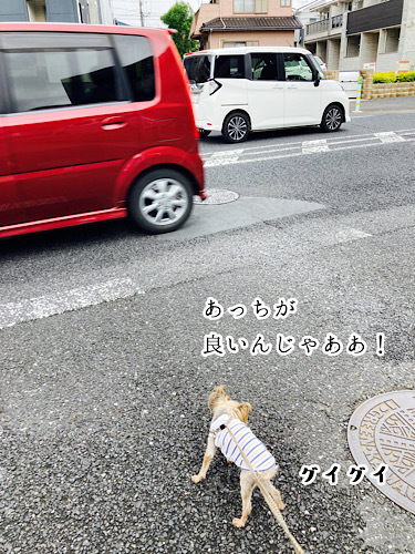 202206091132236c6.jpeg