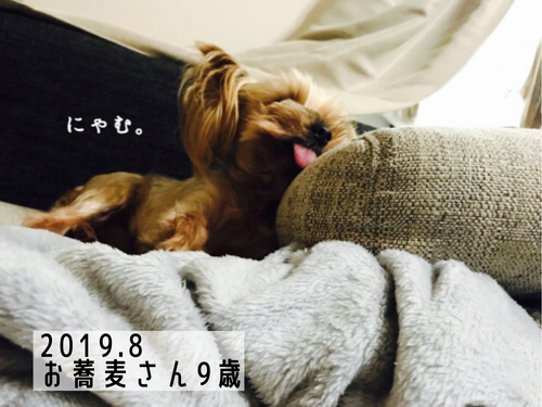202207201340110f8.jpeg