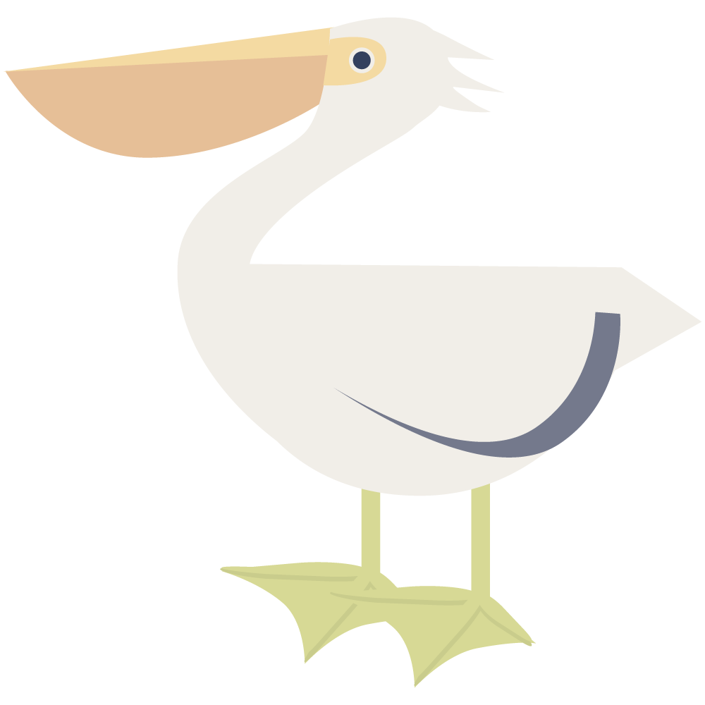 シンプルでおしゃれなフラットデザインのルーマニアの国鳥モモイロペリカンの素材