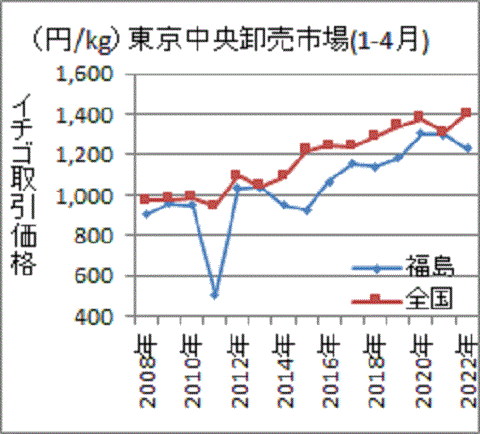 再び価格差が拡大した福島のイチゴ価格