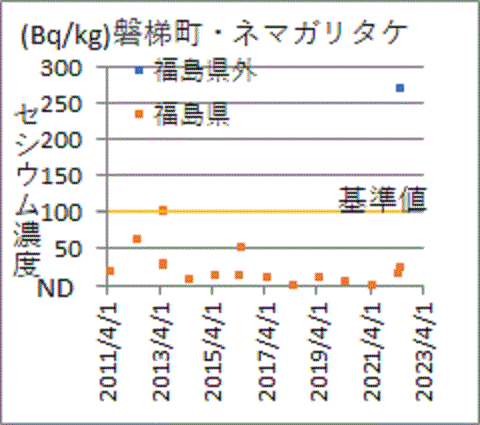 福島県検査では基準値以下も福島県外検査では基準値の３倍近い磐梯町産ネマガリタケの検査結果