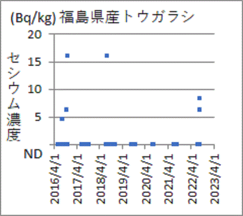 上昇する福島産トウガラシのセシウム