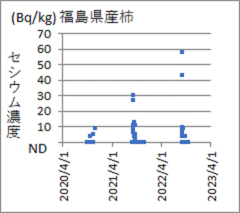 上昇する福島県産柿のセシウム