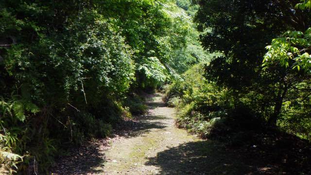 _maDnBi00164.jpg
