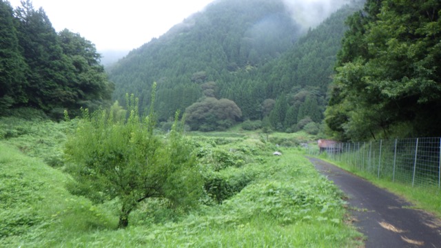 _tyngw00052.jpg