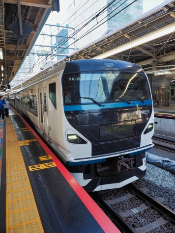 JR東日本 257系2000番台 電車【東京駅】