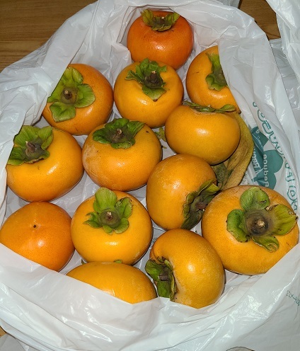 新鮮な柿