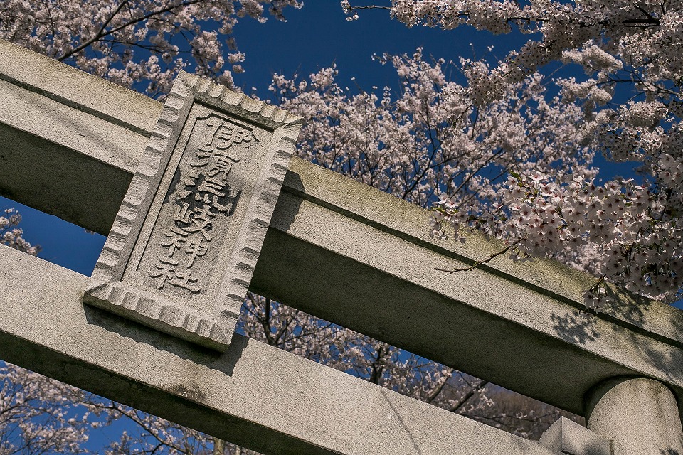 岩ヶ崎の伊須流岐神社