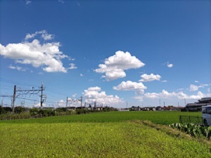 東武電車と田園風景