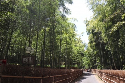 竹林公園