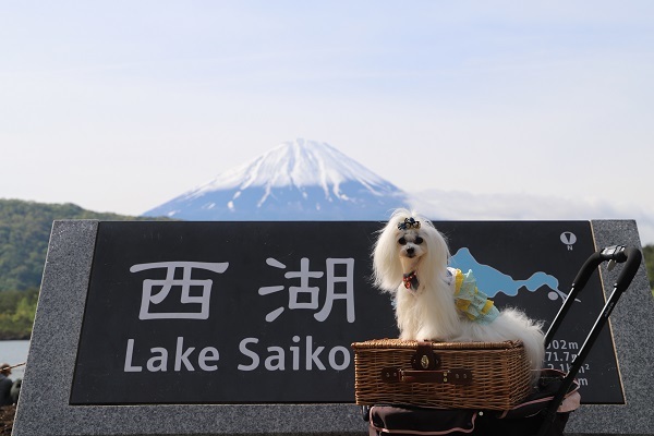 2022.07.04 富士五湖～清里旅行１日目④ 西湖-2