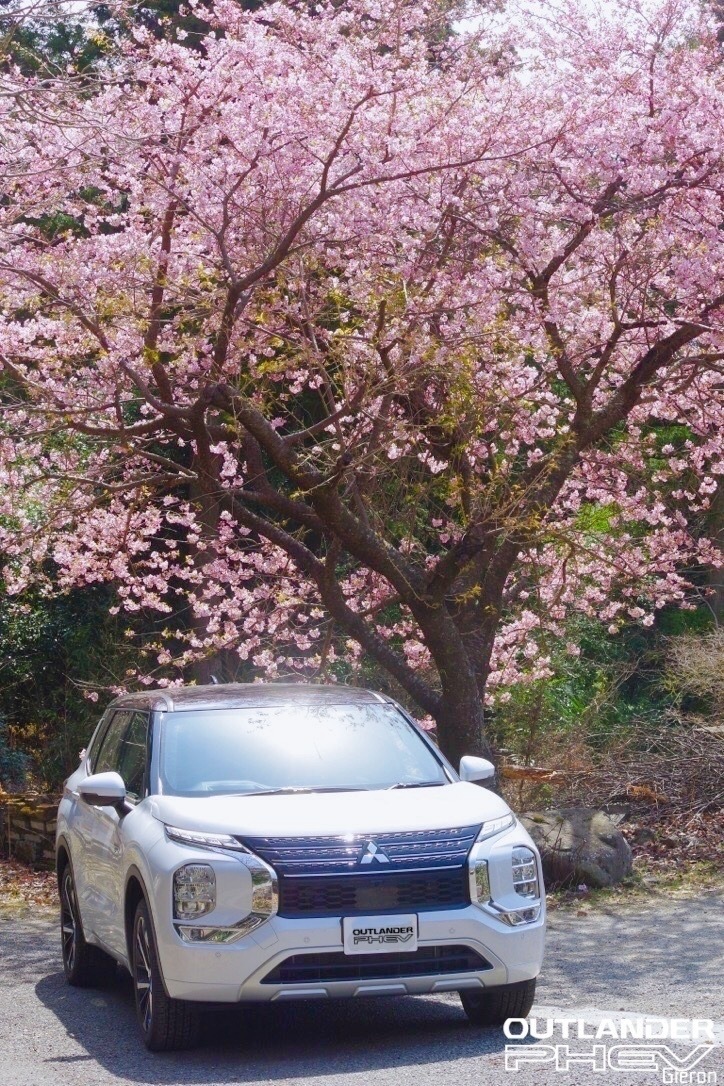 新型アウトランダーPHEV GN0W(22型)桜の木の下　ブログ　outlander PHEV