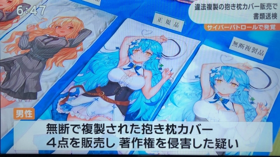 ホロライブVtuberなどのニセ抱き枕を製造・販売して３５万円以上稼いだホロライブアンチを逮捕！！！！